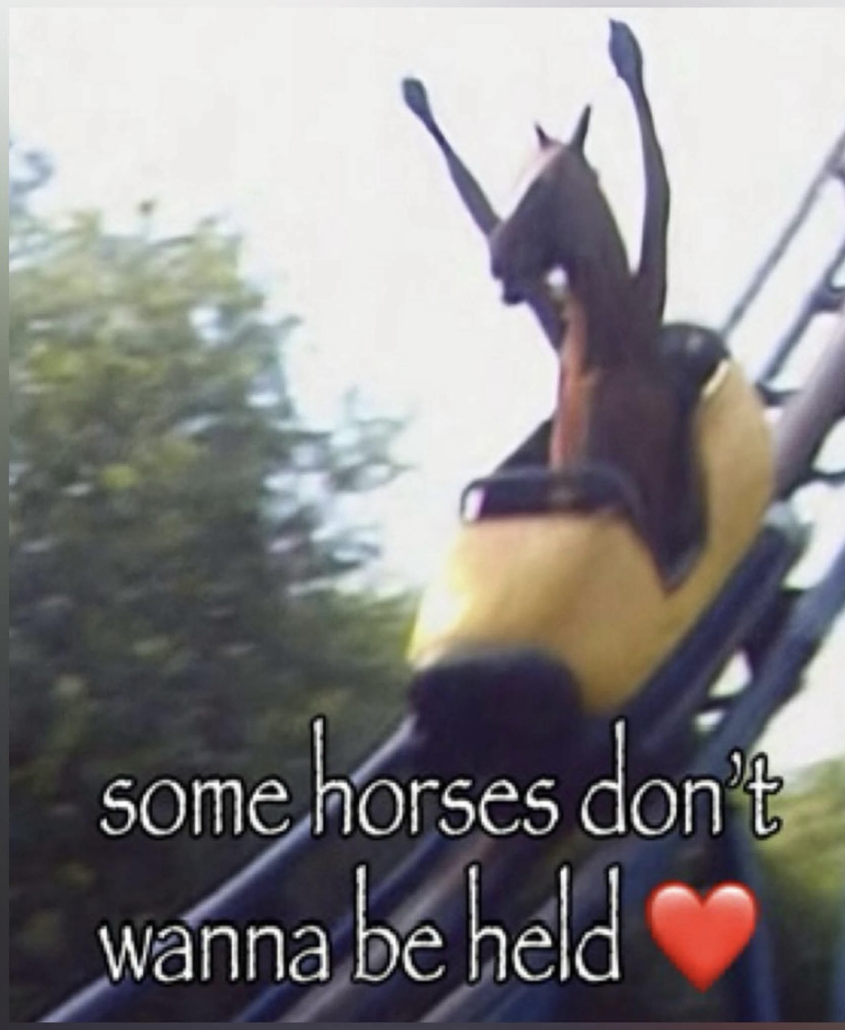 21 Memes That Are Both the Angel and the Devil on Your Shoulder 16 Some horses dont wanna be held