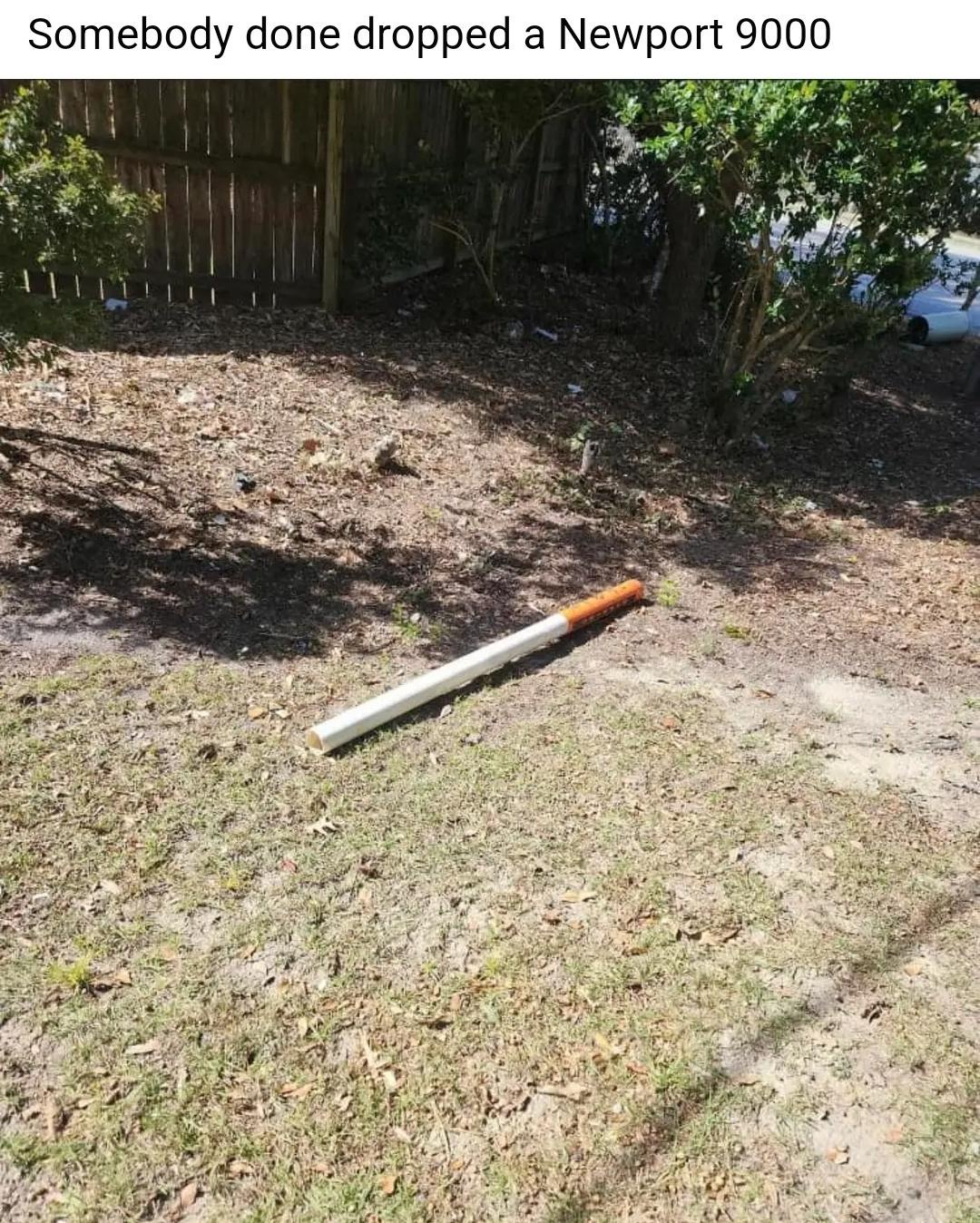 Somebody dropped newpott