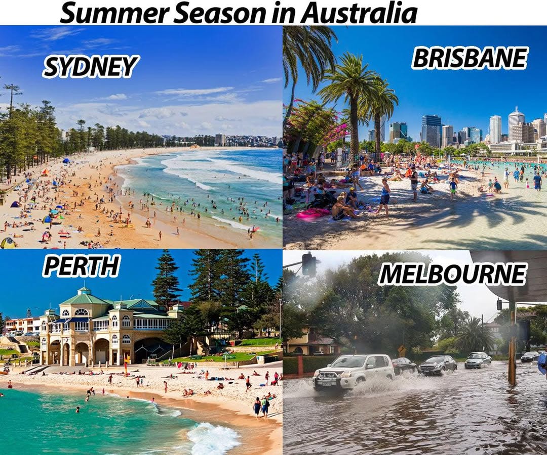 30 Bizarre "Meanwhile In Australia Memes" 30 Summer season in australai