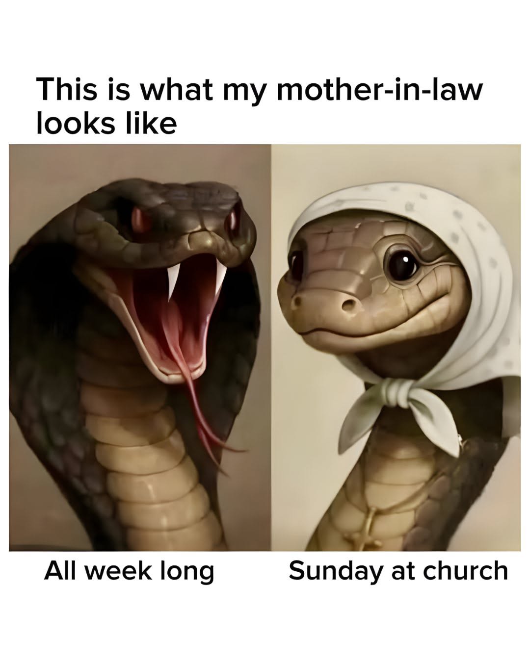 30 Snake Memes That Will Make You Sssmile on World Snake Day! 32 Sunday at church