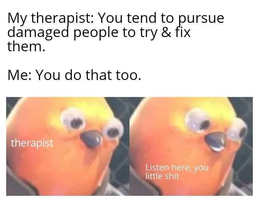 20 Memes That Look Like They Were Written Mid-Fall Down the Stairs 20 Tend to pusue damaged