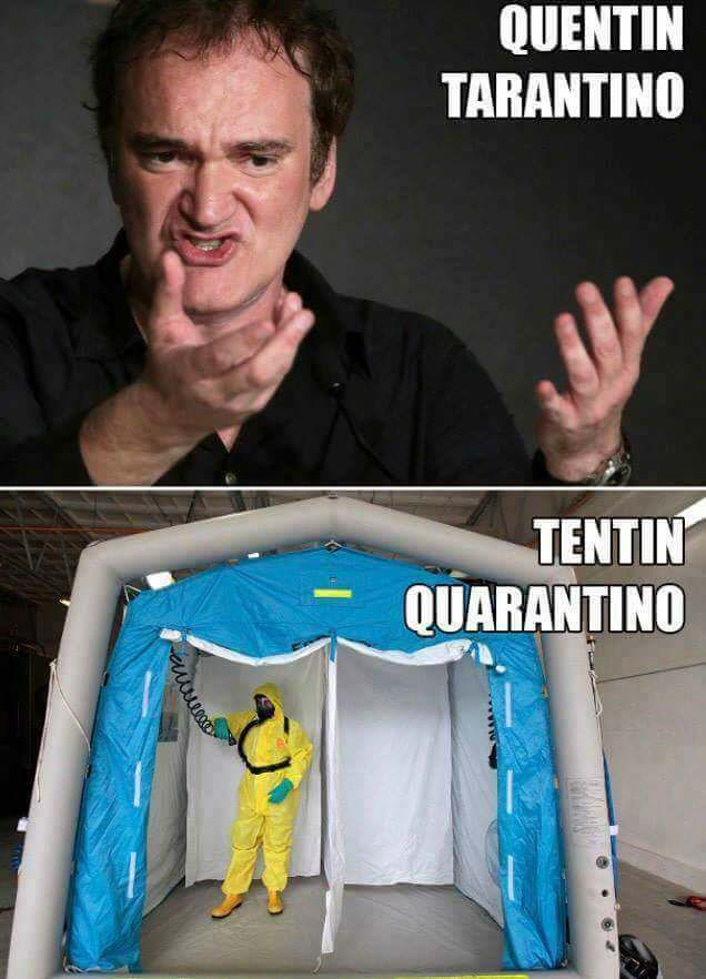 What The Pun! Step into the World of Punny Memes 40 Tentin quarintino
