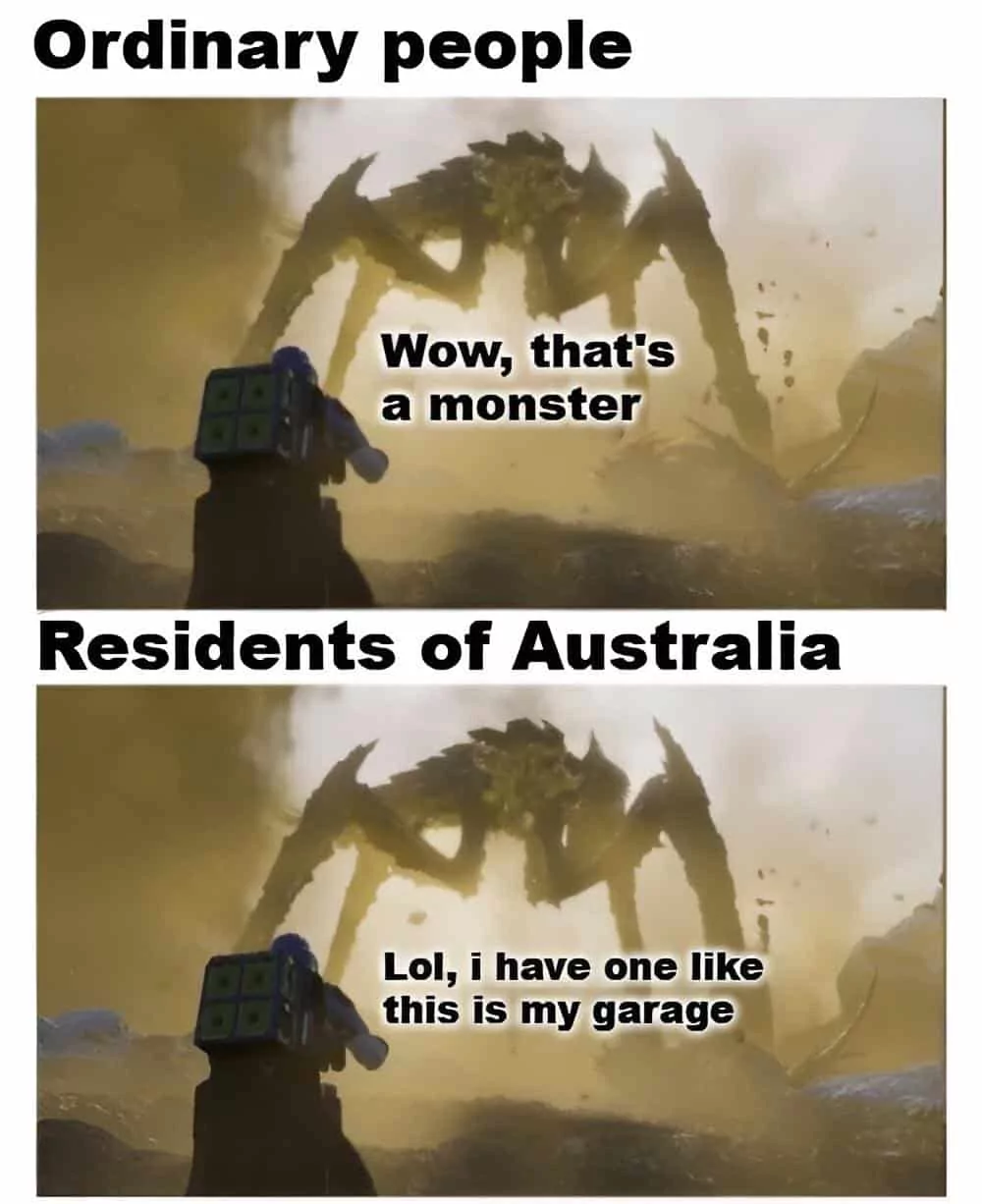 30 Bizarre "Meanwhile In Australia Memes" 31 Thats a monster
