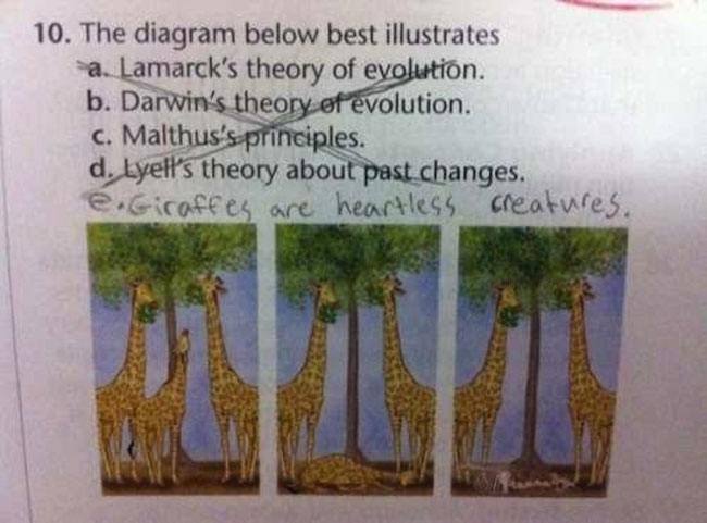 45 Funny Test Answers That Deserve An A+ For Humor 46 The diagram below
