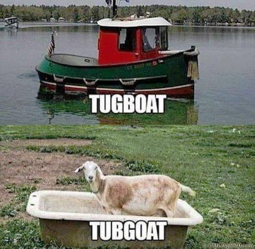 20 Memes That Could Win a Fight Against Logic 16 Tugboat