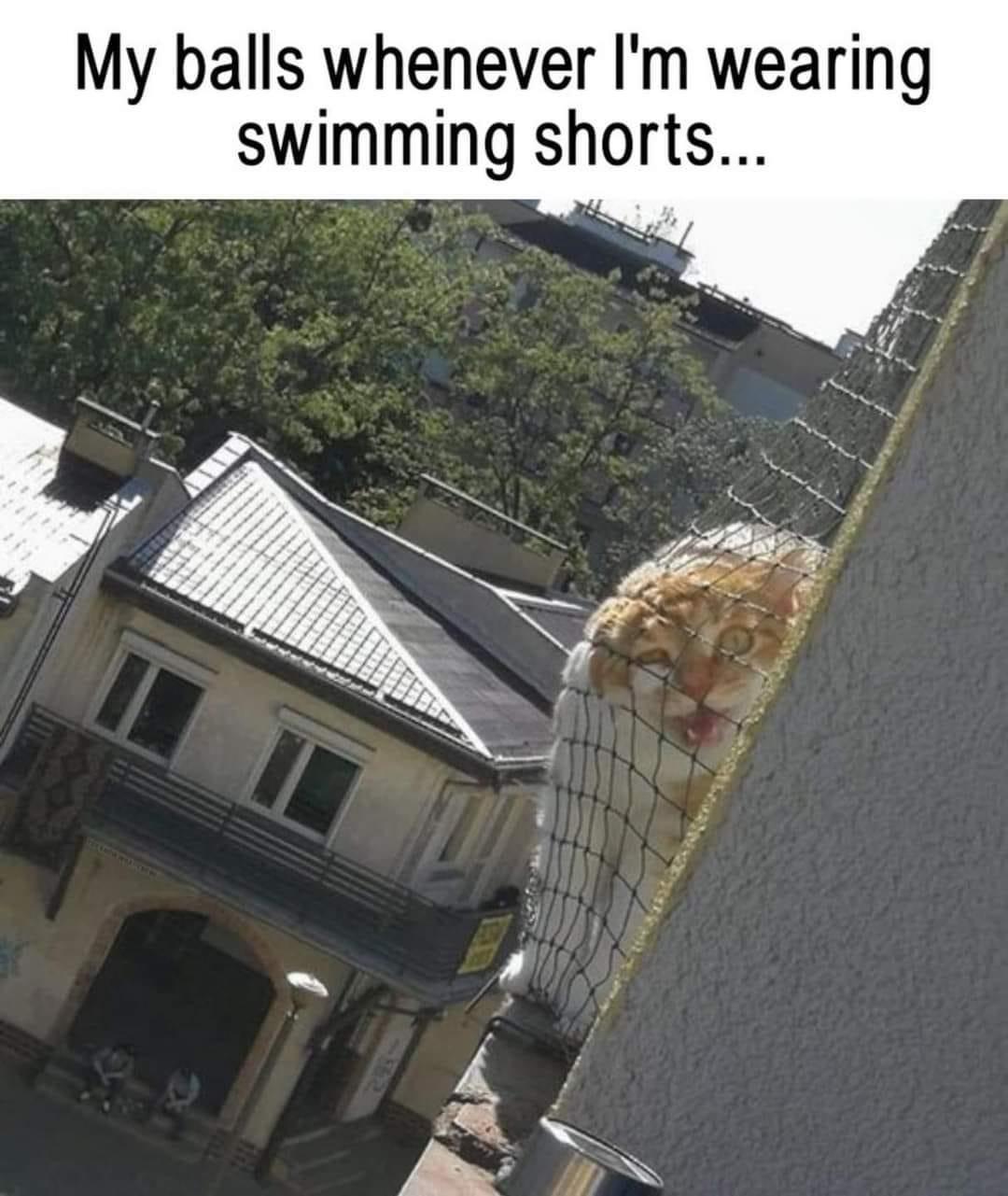 Wearing swimming shorts
