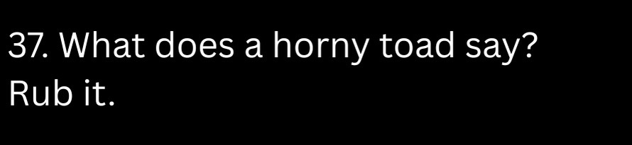What does a horny toad say