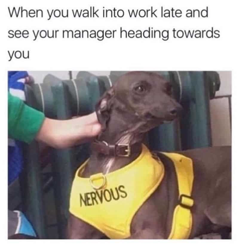 35 Relatable Work Memes That Capture the Essence of Office Banter 37 me pretending to be busy