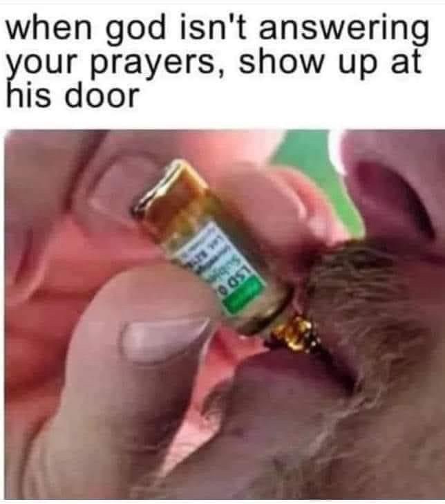 You show up at his door