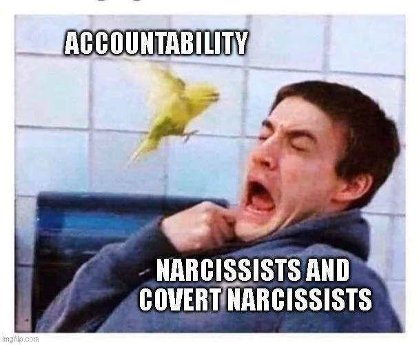 25 Narcissist Memes: A Hilarious Peek into the World of Self-Adoration 23 accountability