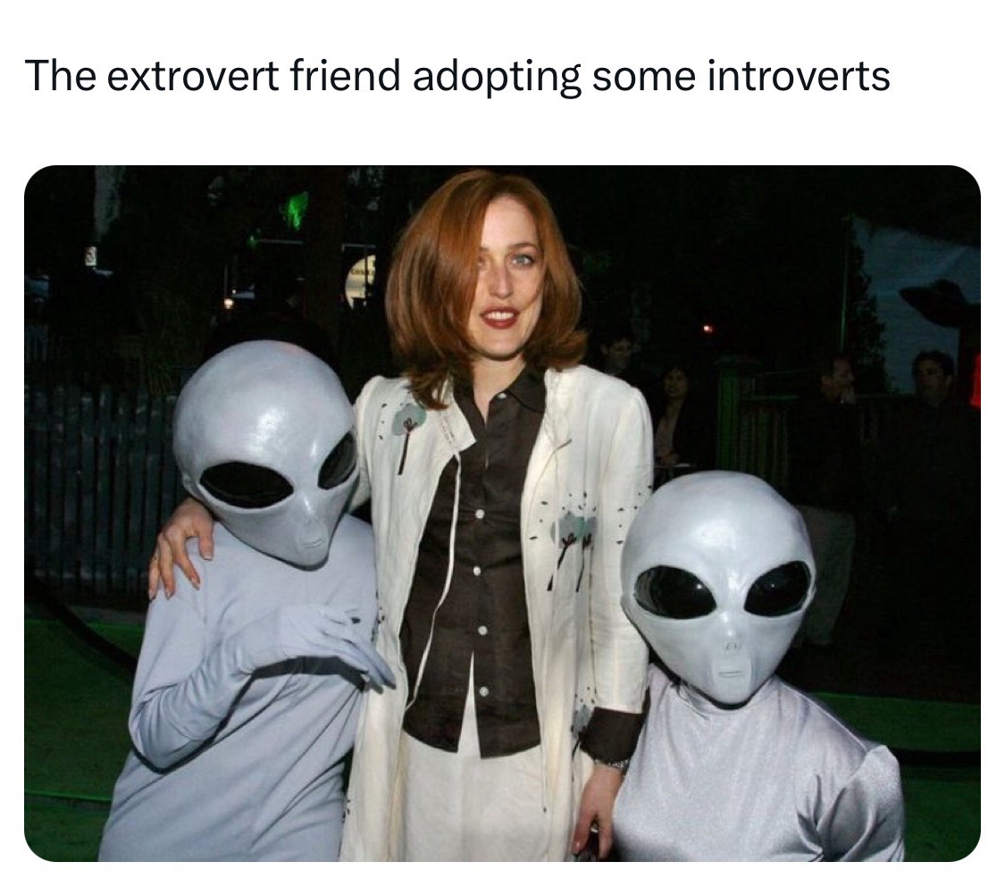 adopting some introverts