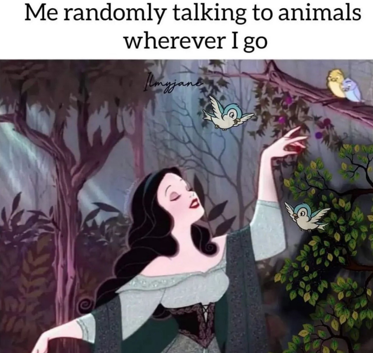 Create comics meme \, image size:1290x1221