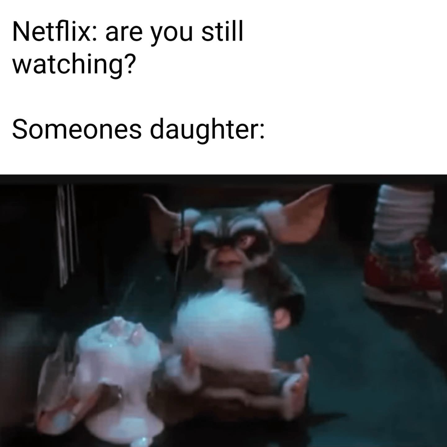 20 Memes That Look Like They Were Written Mid-Fall Down the Stairs 2 are you still watching