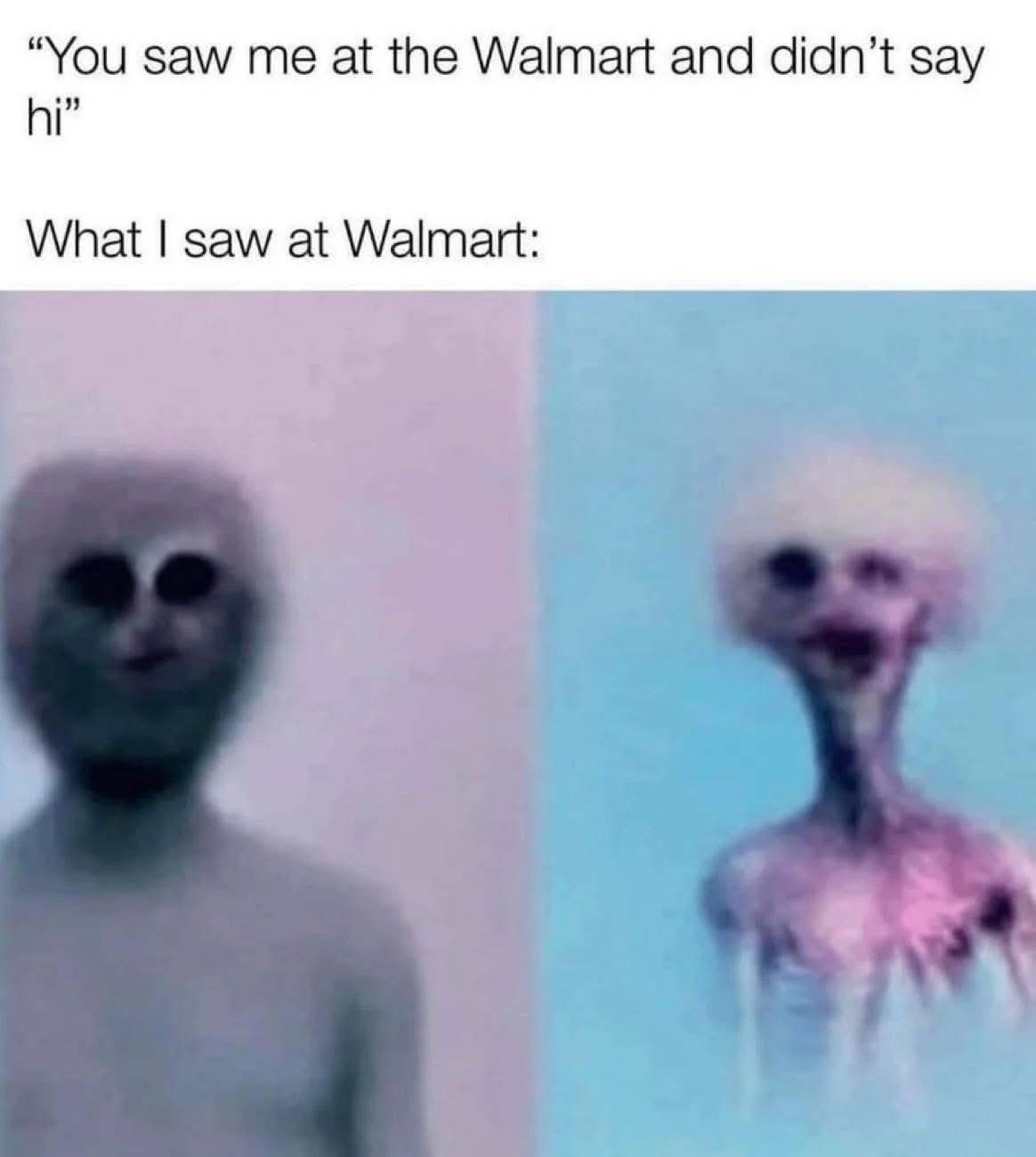 20 Memes That Look Like They Were Written Mid-Fall Down the Stairs 3 at I saw at walmart