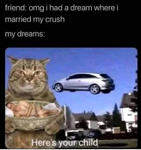 45 Funny Dream Memes That Proves Imagination Has No Limits 43 flying car and cat