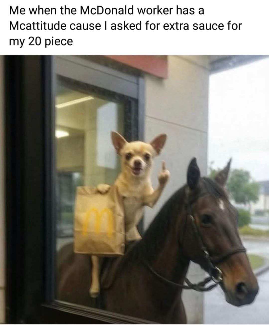 20 Memes That Look Like They Were Written Mid-Fall Down the Stairs 18 sked for extra sauce