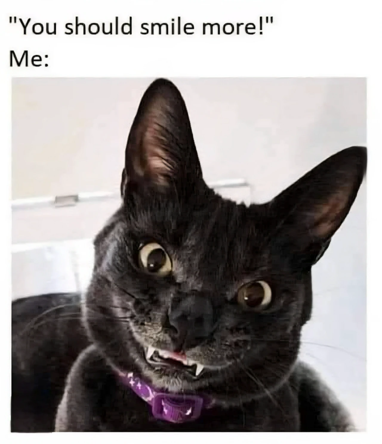 35 Funny Caturday Memes You’ll Regret Not Clicking On 35 smile more