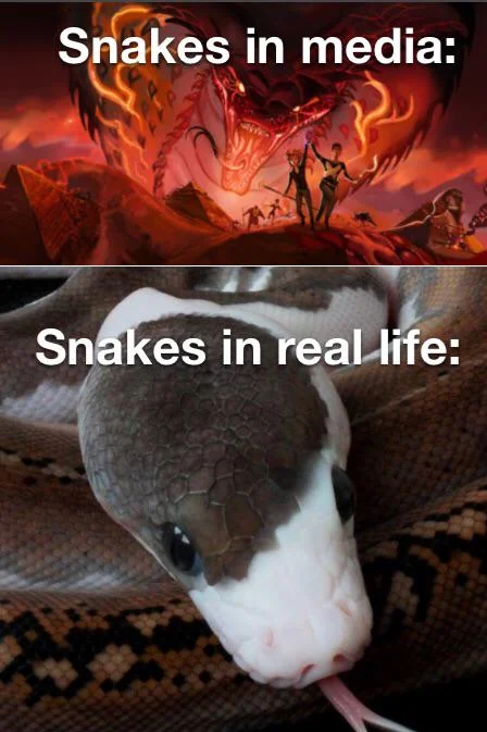 30 Snake Memes That Will Make You Sssmile on World Snake Day! 31 snakes in media