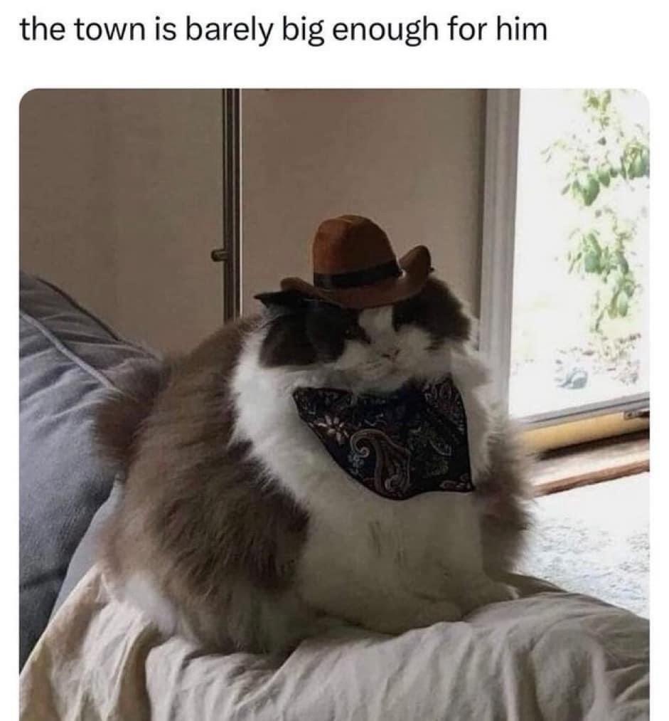 35 Memes to Ruin Your Poker Face 35 town is barely big enough
