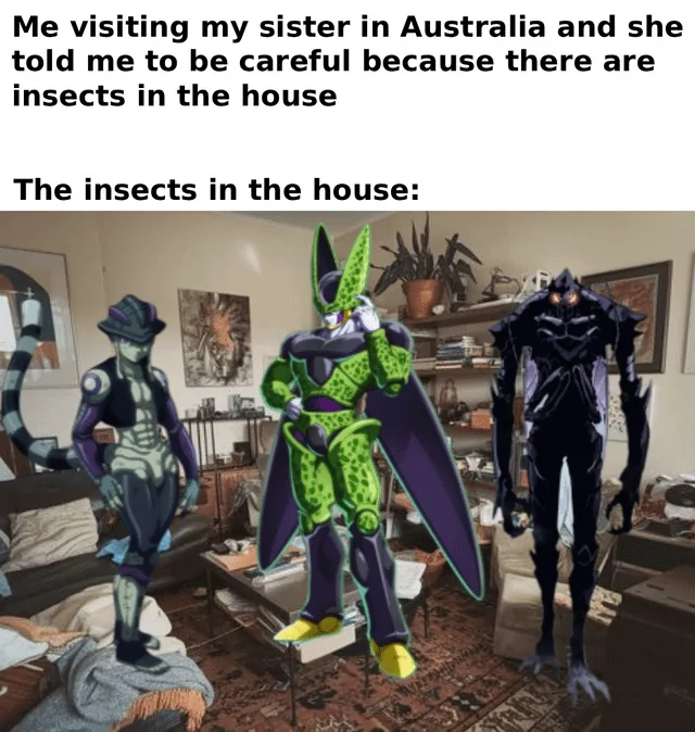 30 Bizarre "Meanwhile In Australia Memes" 32 visiting my sister