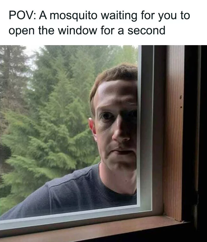 40 Mosquito Memes That Will Have You Itching with Laughter on World Mosquito Day 38 A mosqito waiting for you