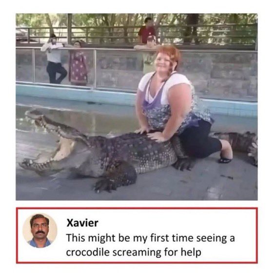 Crocodile screaming for help