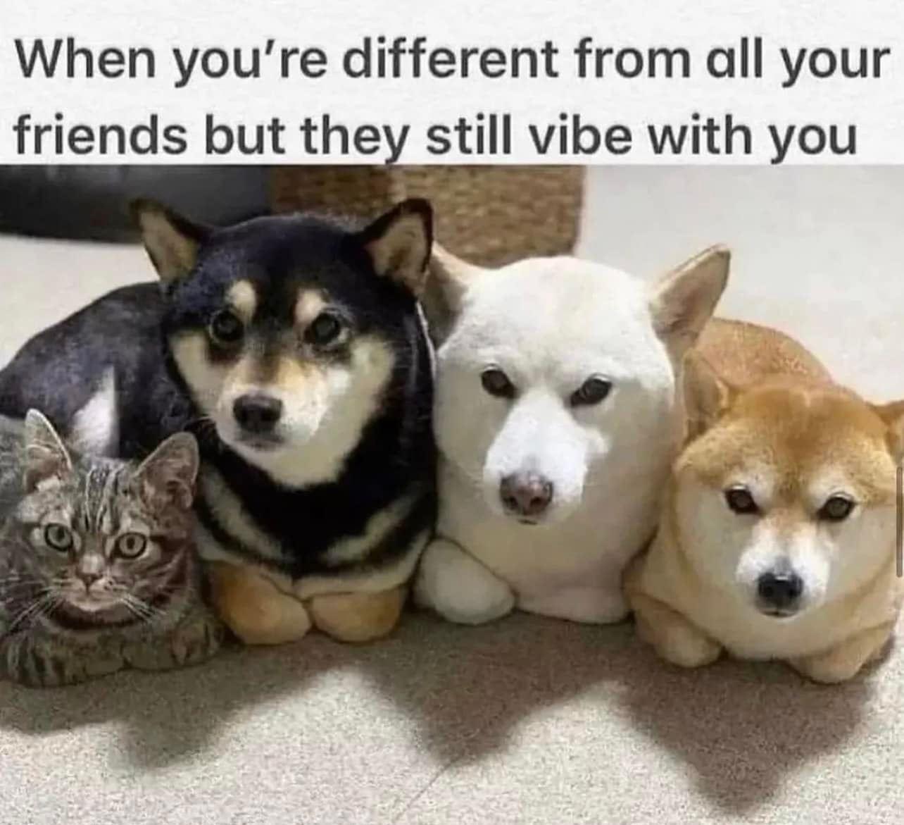 Different from friends