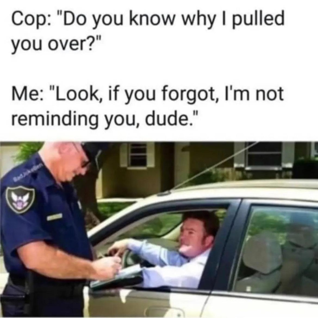 Do you know why I pulled you over