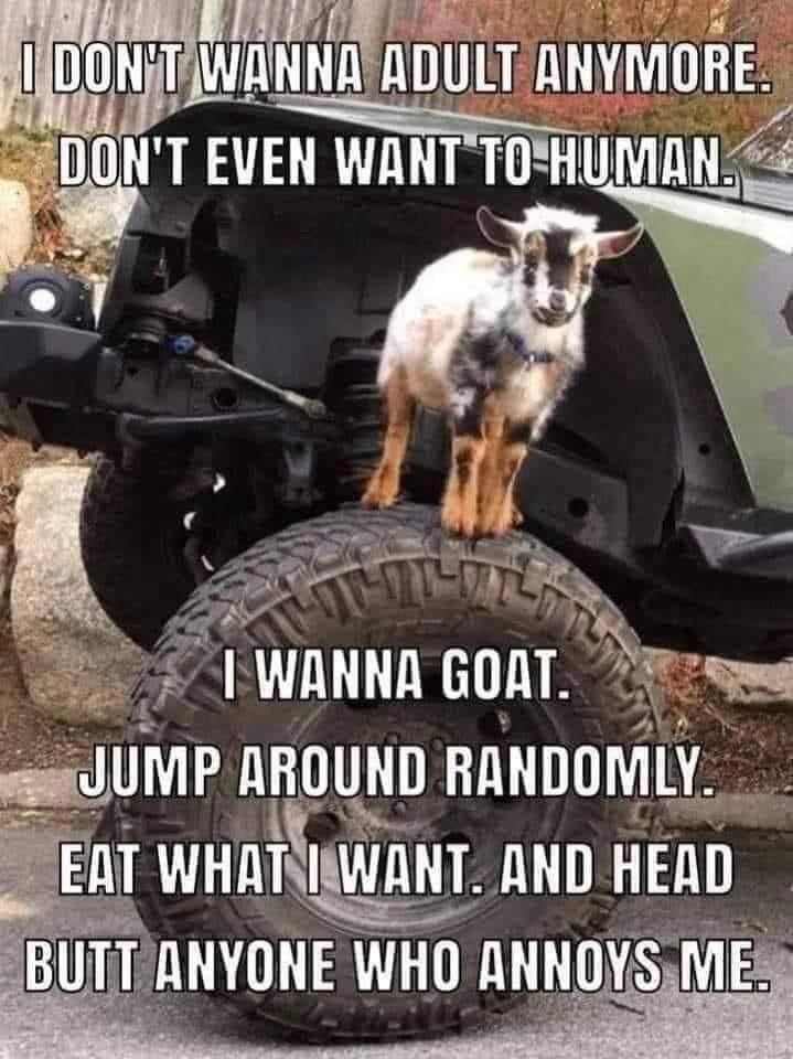 Dont wanna be adult anymore