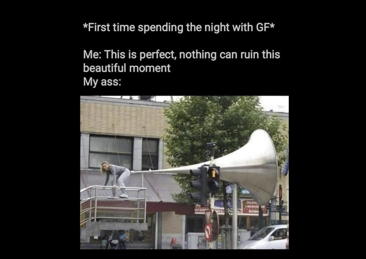 Fart Memes Chameleon Memes