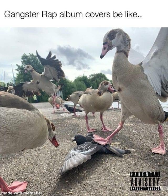 25 Memes That Got Lost on the Way to Relevance 22 Gangster rap album covers