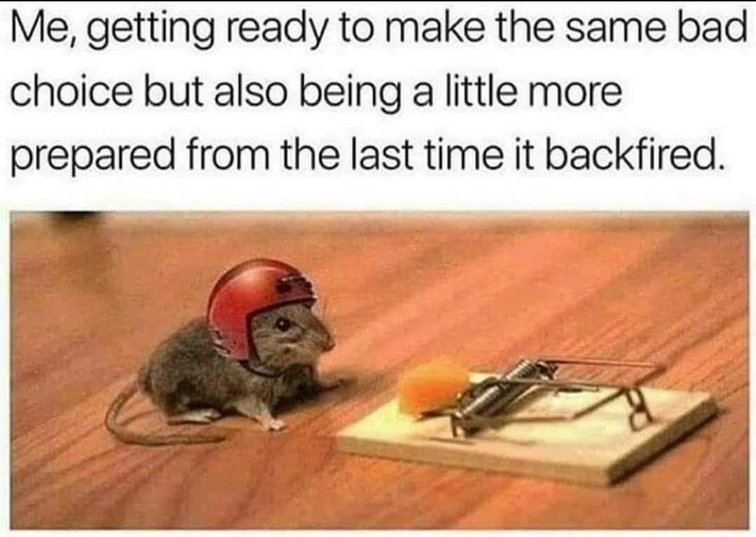 20 Similar Memes That Spill Your Secrets Casually 4 Getting ready to mae same bad choice