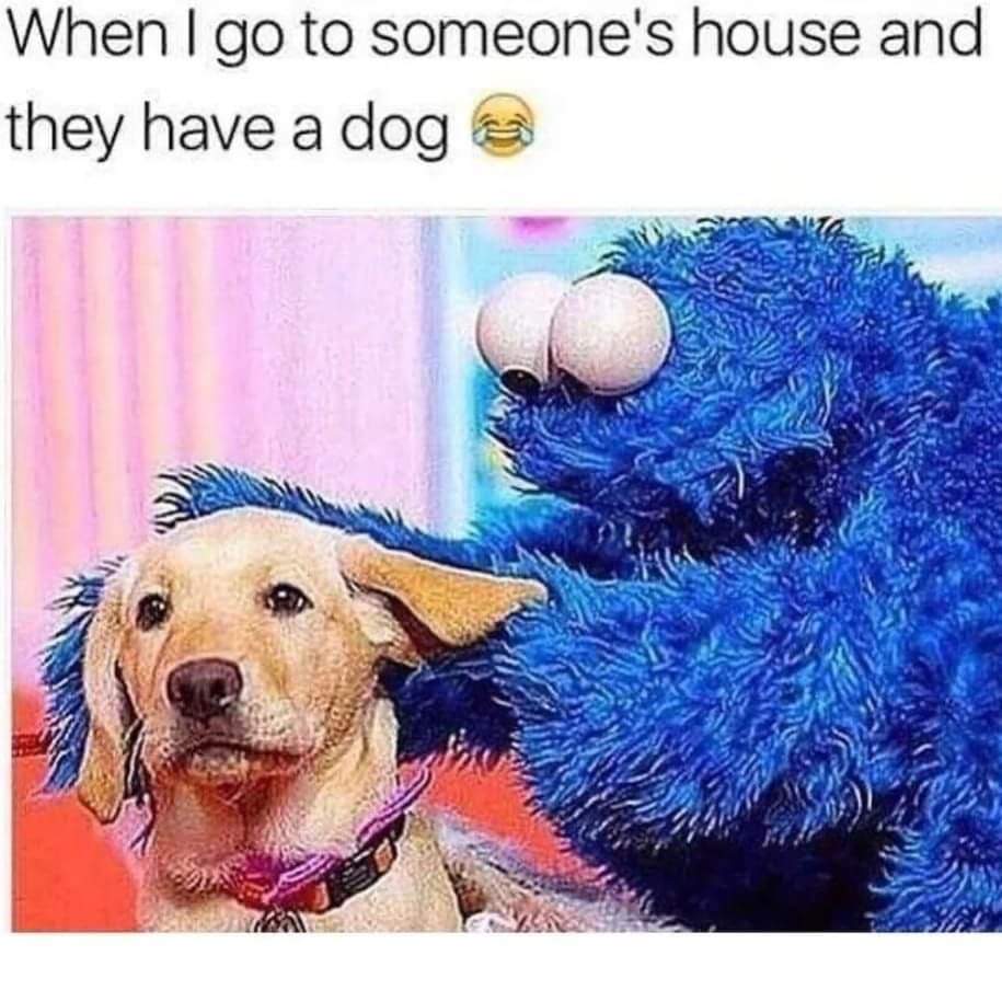 20 Similar Memes That Spill Your Secrets Casually 5 Going to someones house