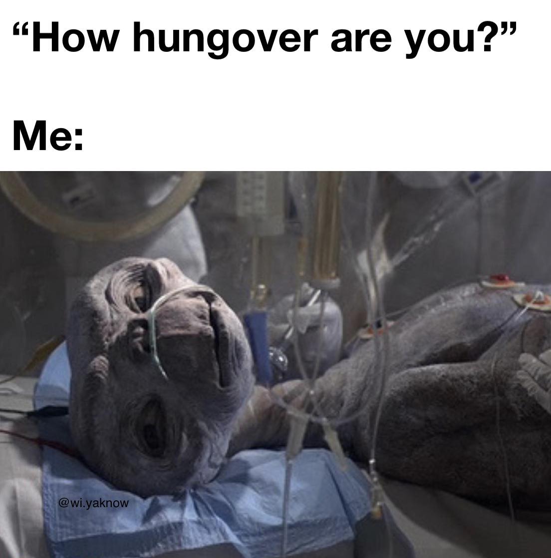 35 Hangover Memes That Very Well Captures The Pain Of Being In A Hungover 32 How hungover are you