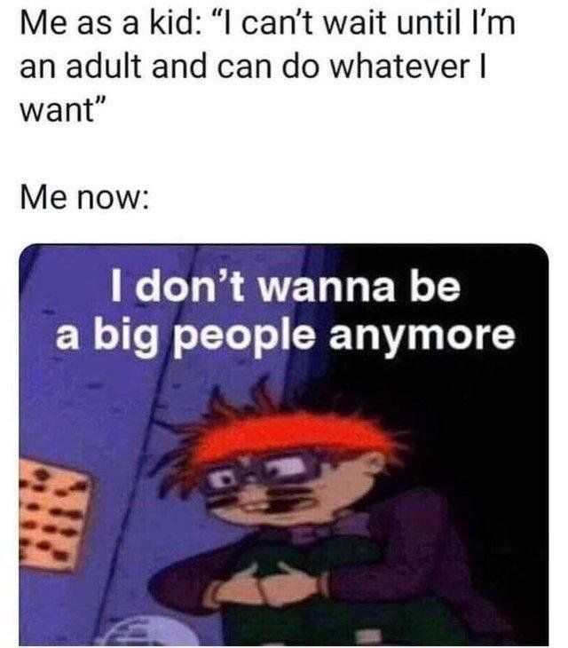 45 Funniest Life Sucks Memes That Will Make You Feel Better 45 I dont wanna be big people