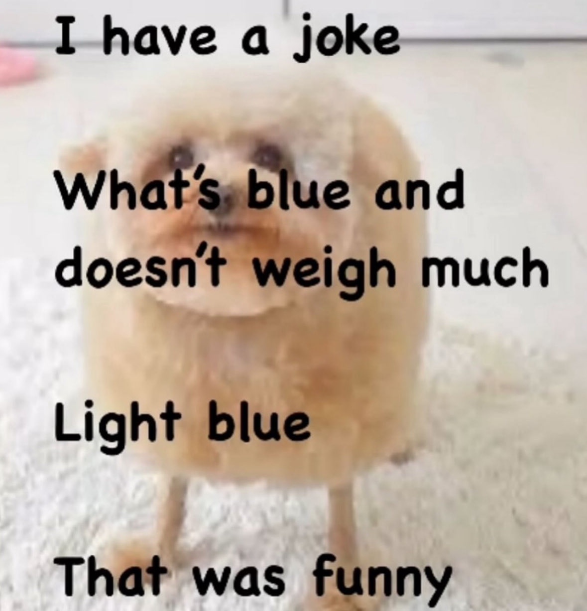 20 Memes Too Grown, Too Unhinged, and Way Too Funny 5 I have a joke