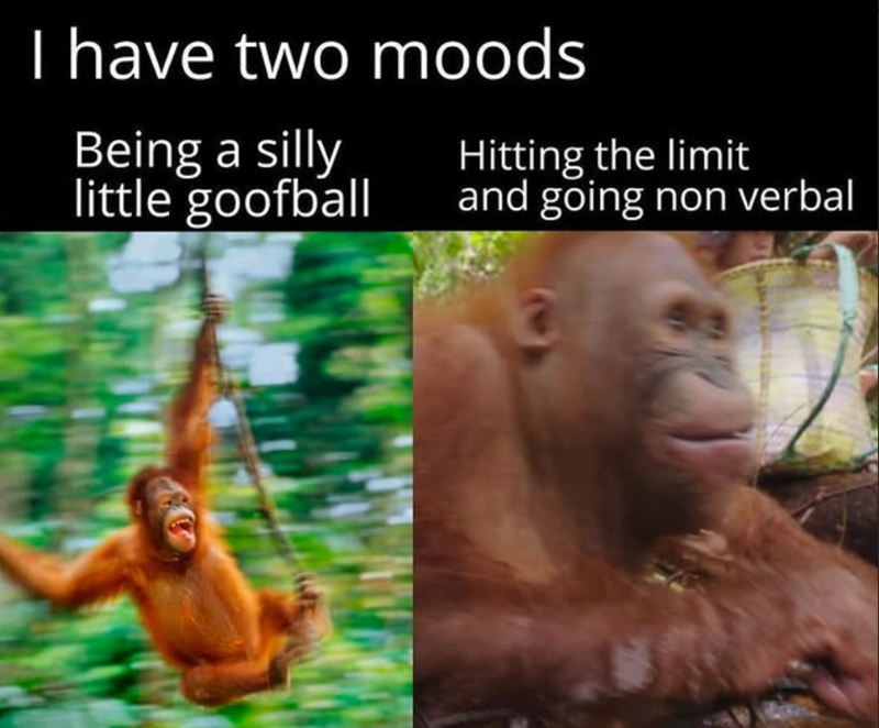 20 Orangutan Memes to Celebrate World Orangutan Day! 18 I have two moods
