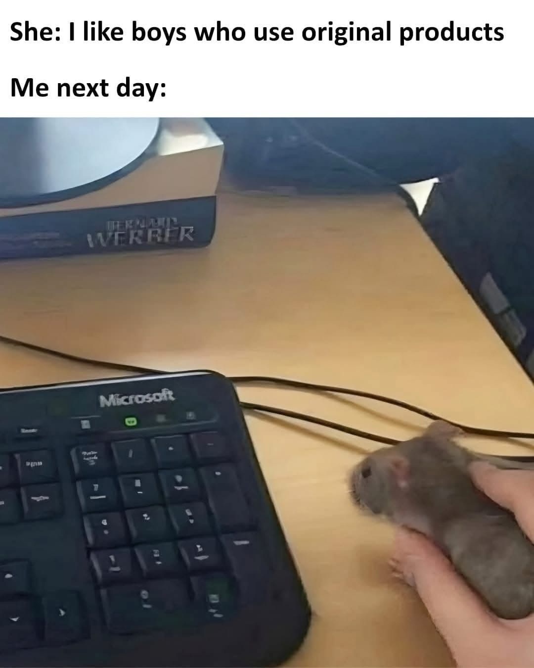 I like boys who use orignal products