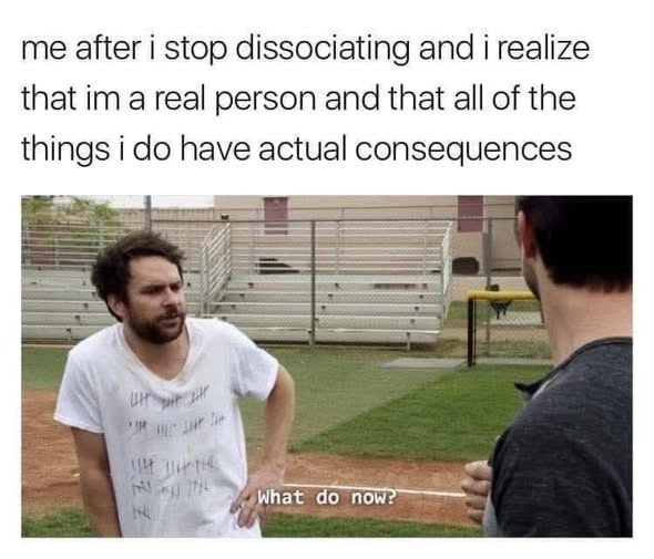 35 Painfully Relatable Memes for the Regular Joe 35 I stop diassociating