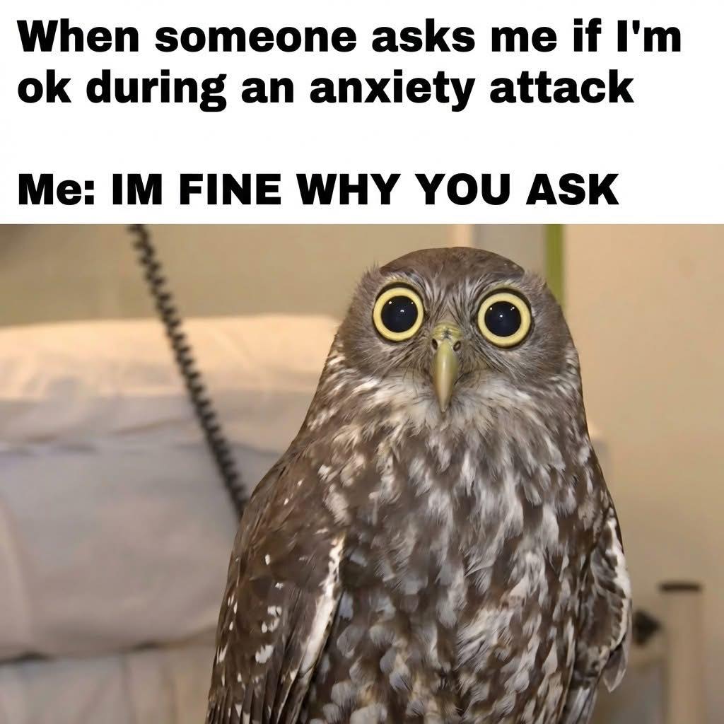 30 Brutally Relatable Memes That Tell It Like It Is 26 Im fine