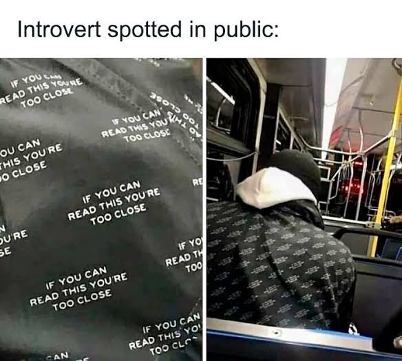 Introvert spoted in public