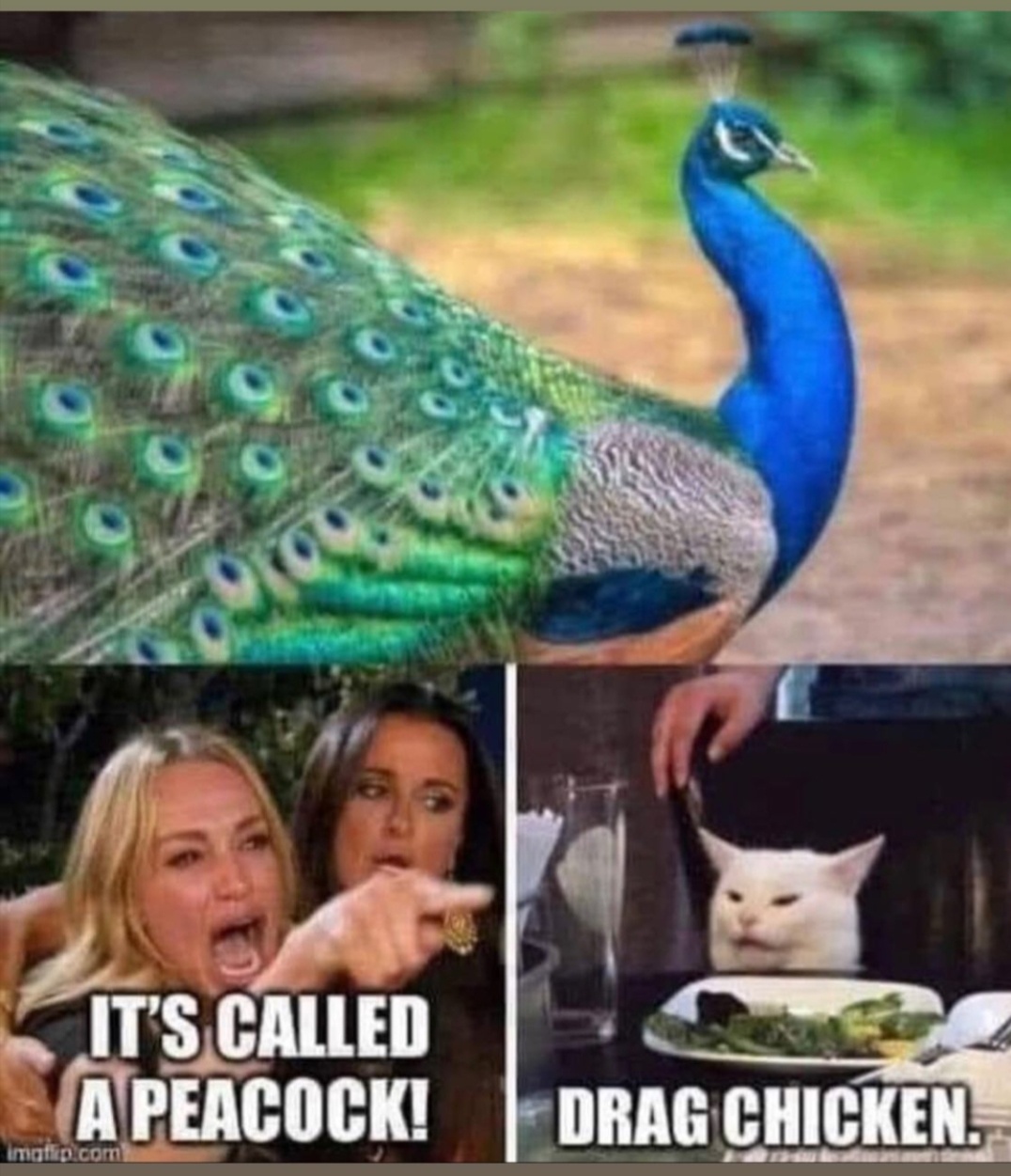 Its called peacock