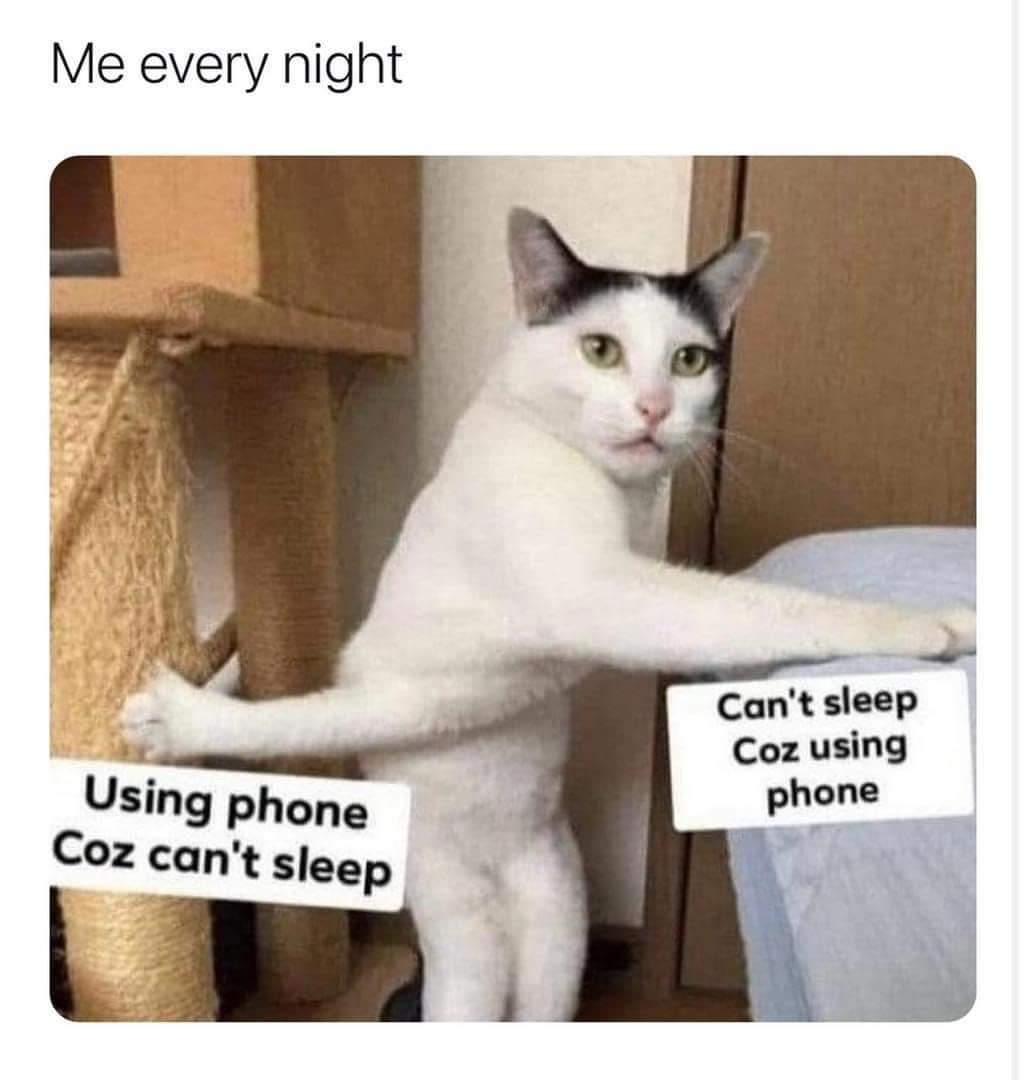 20 Similar Memes That Spill Your Secrets Casually 10 Me evry night