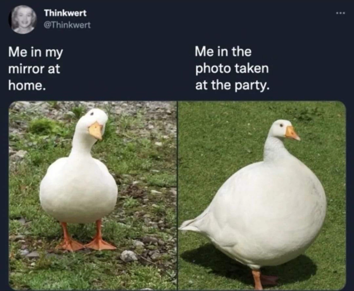 20 Memes That Make Zero Sense but 100% Happiness 8 Me in my mirror