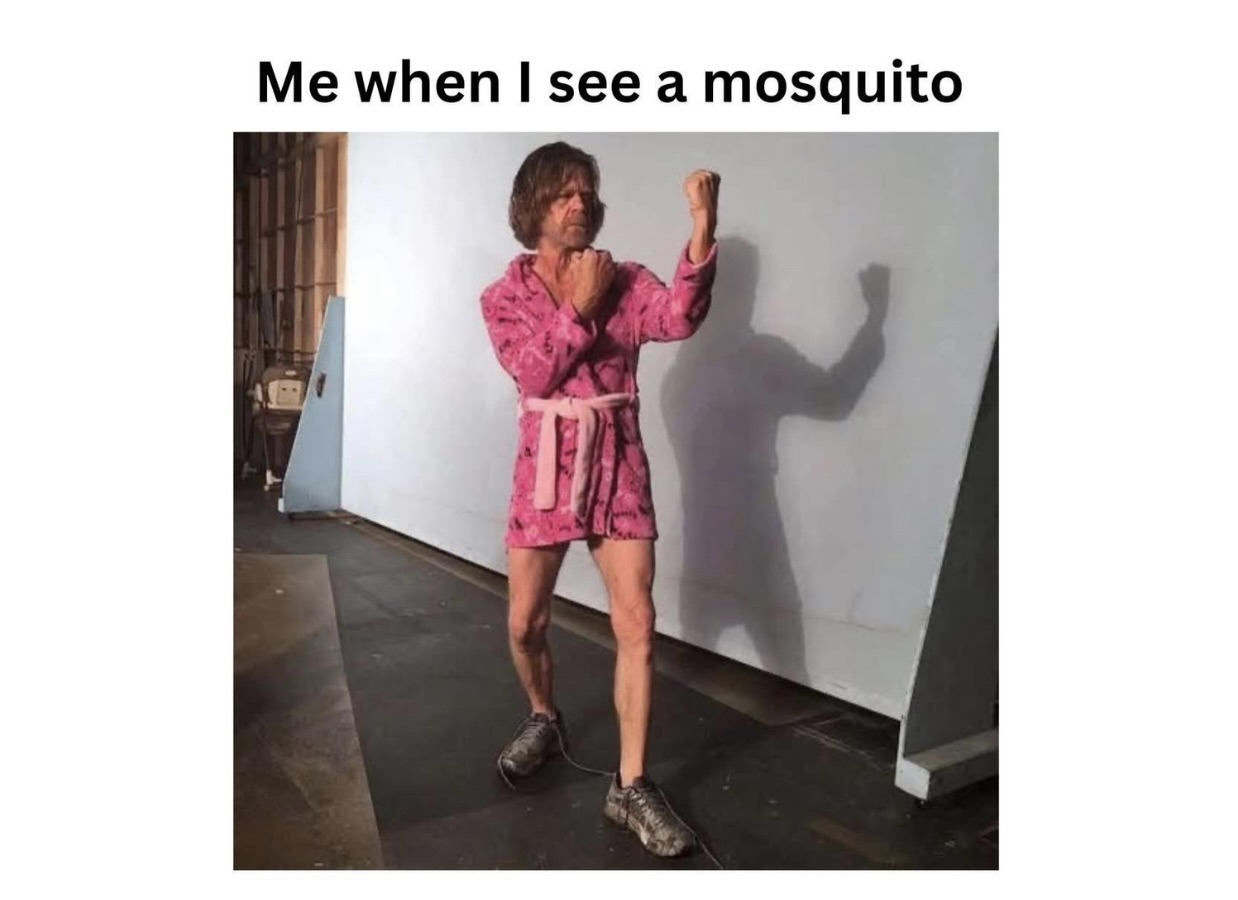 Memes That Require Just Enough IQ to Breathe - FG.jpeg