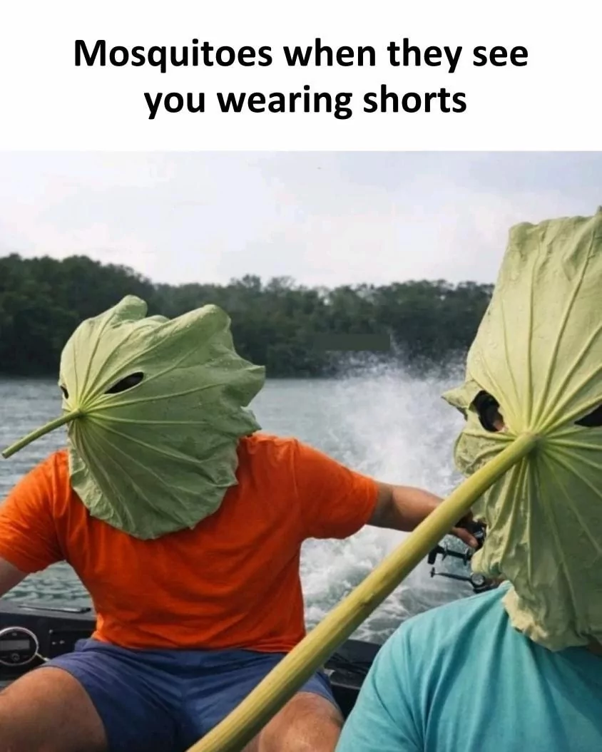 40 Mosquito Memes That Will Have You Itching with Laughter on World Mosquito Day 40 Monsquitos when they see you