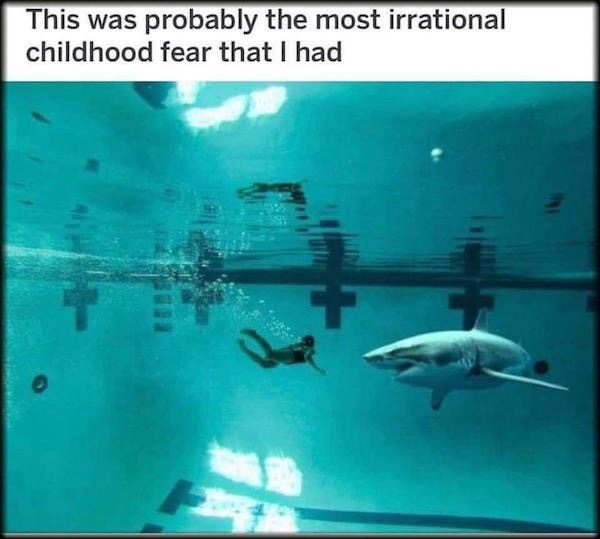 Most irrational fear