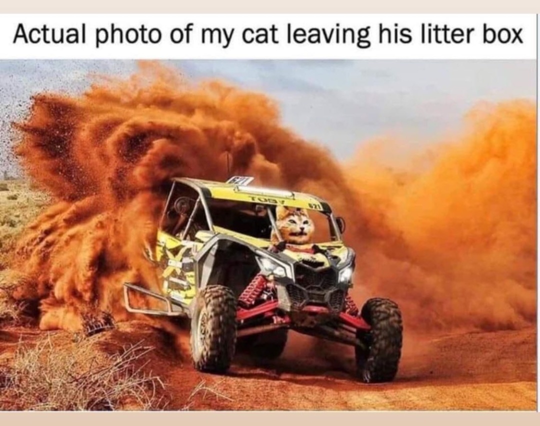 My cat leaving litter box