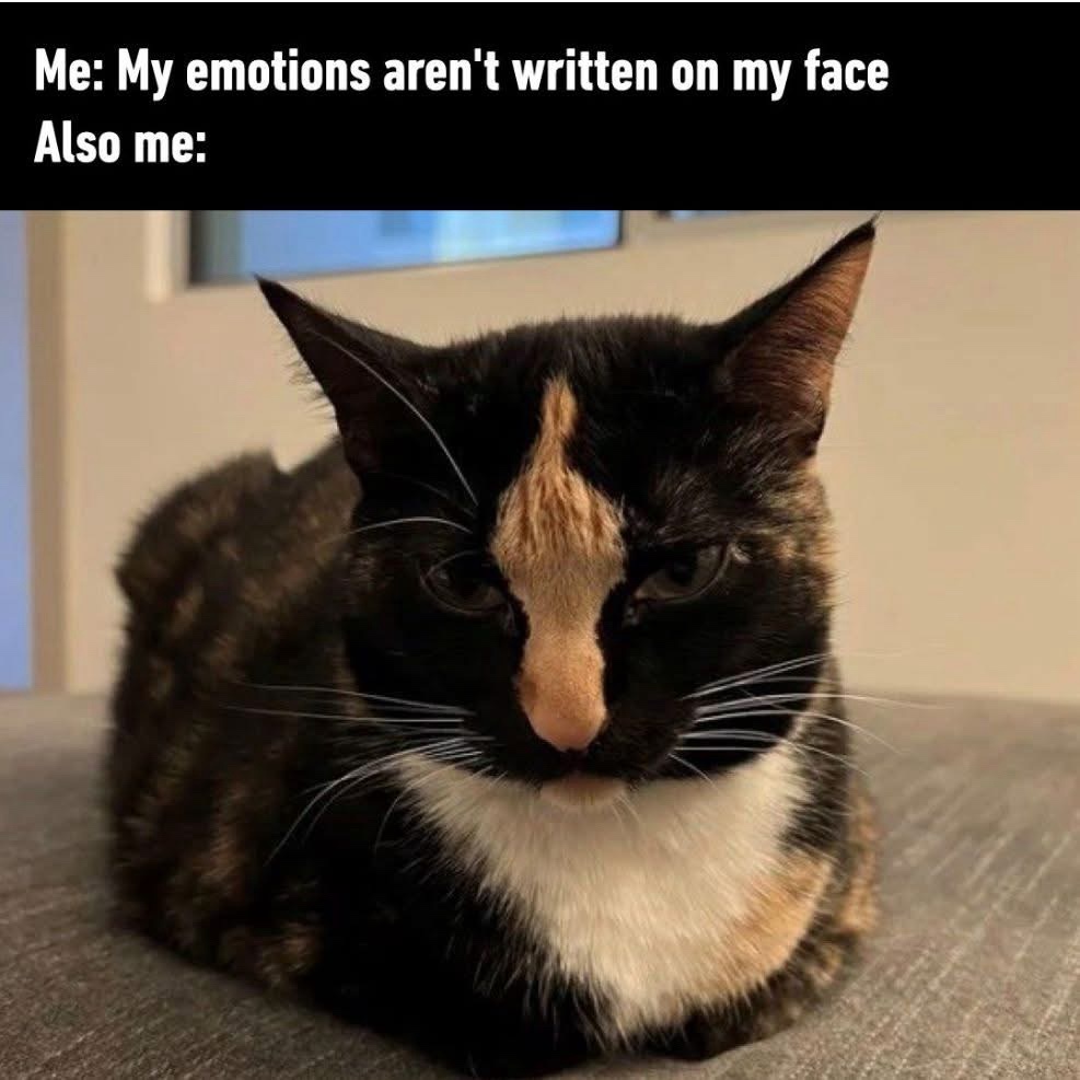 My emotions arent written on my face