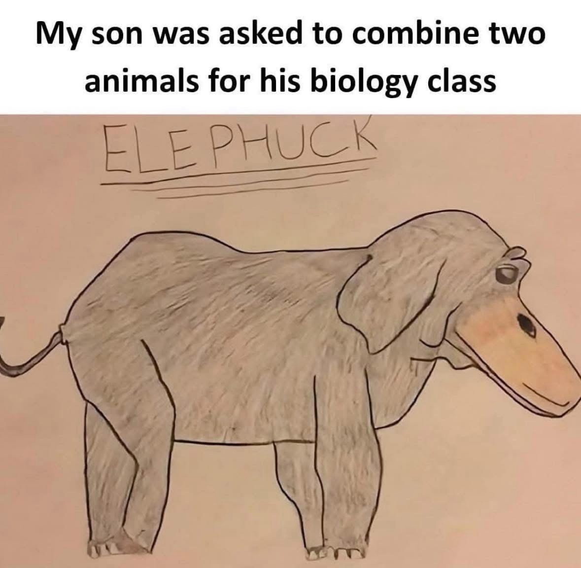 My son was asked to combine two animals